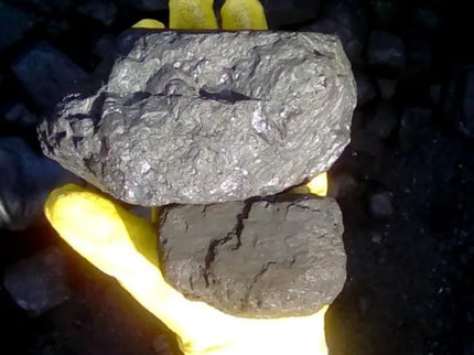 Housecoal Group 1